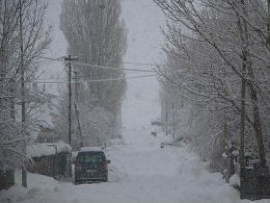 Bingöl son yılların en soğuk kışını yaşıyor