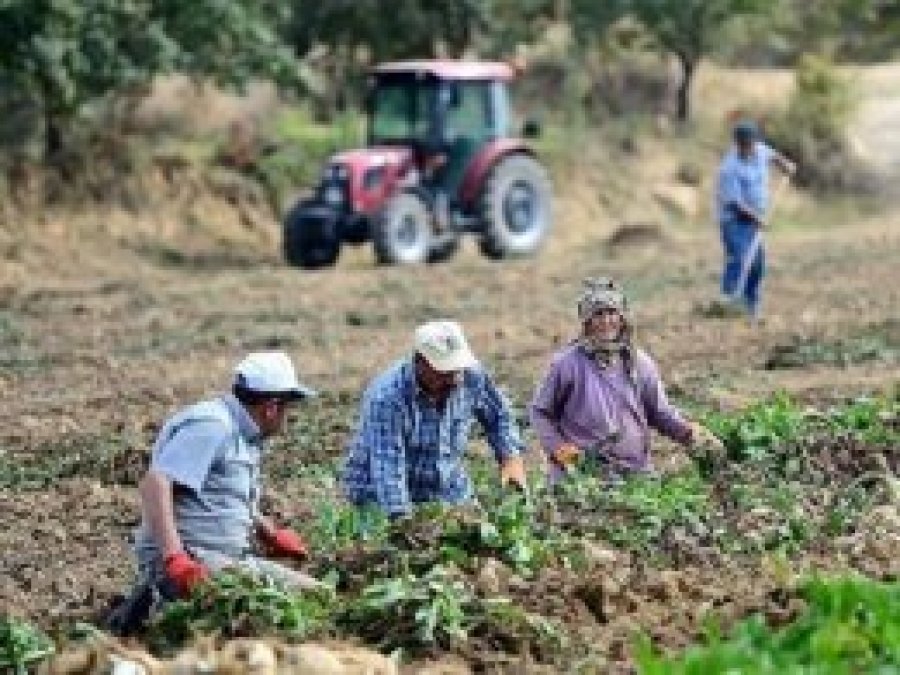 Nüfusun yüzde 8'i köyde yaşıyor