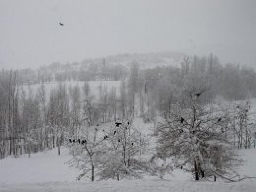 Bu yıl mart kapıdan bile baktırmıyor