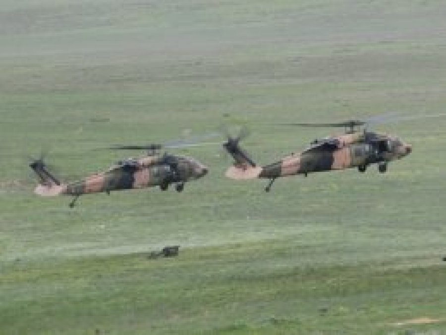 Bitlis'te 12 PKK'li öldürüldü