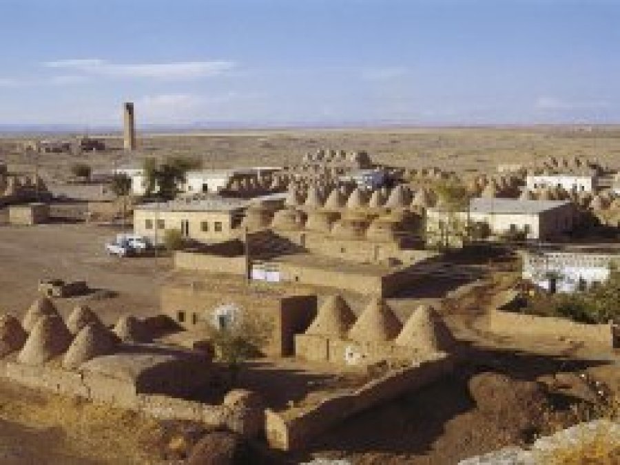 'Evet'in en fazla çıktığı Harran’ın seçim panoraması
