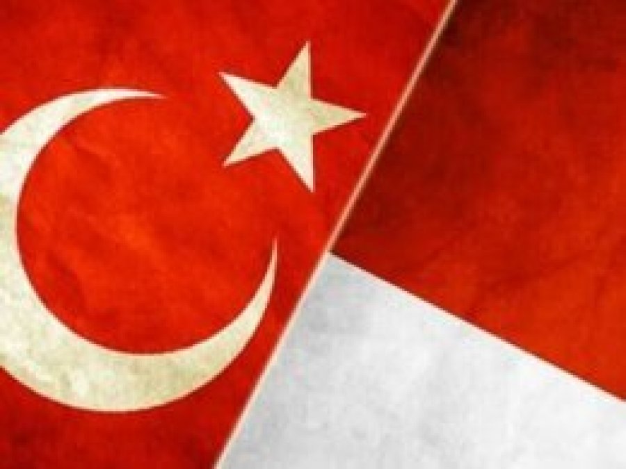 Türkiye Endonezya ilişkilerinde 60. Yıl