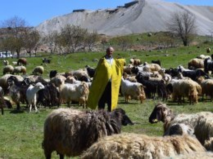 'Güvenlik bölgesi' yaylacıları  mağdur ediyor