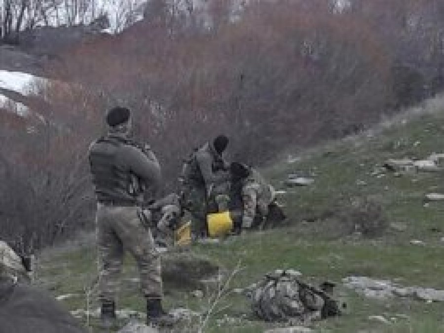 Bitlis'te bir PKK'li öldürüldü