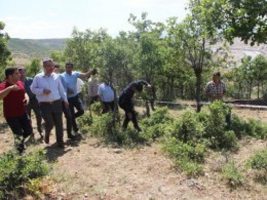 Bingöl'de dev yarıkların oluştuğu köyde inceleme