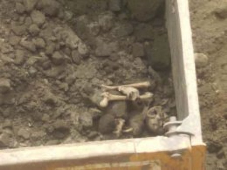 Bitlis'te insan kafatası bulundu