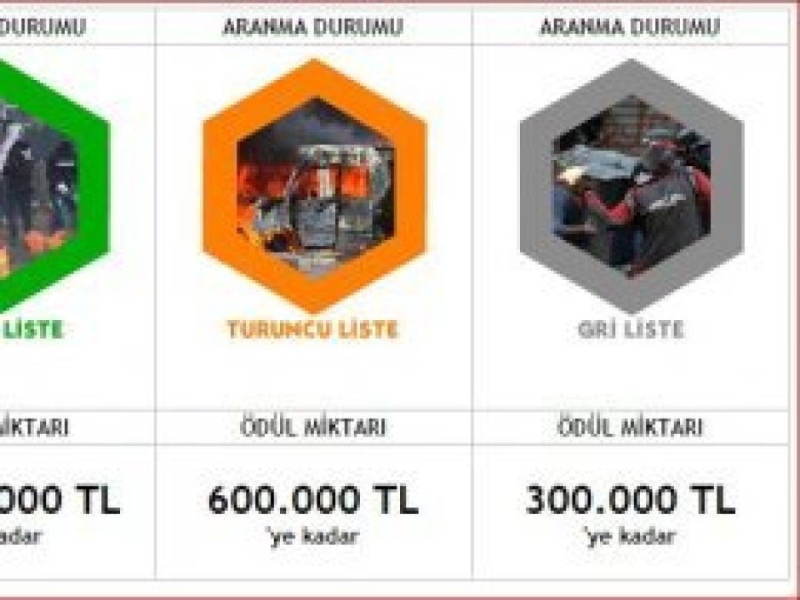 Gri listede bulunan bir PKK'li teslim oldu