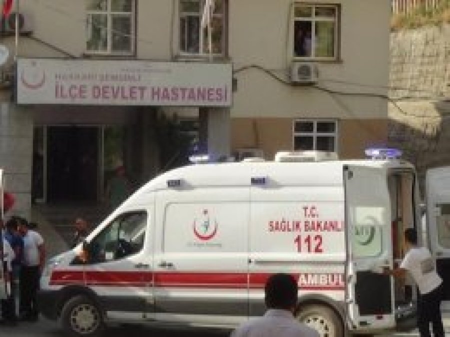 Şemdinli'de PKK'nin döşediği mayın can aldı