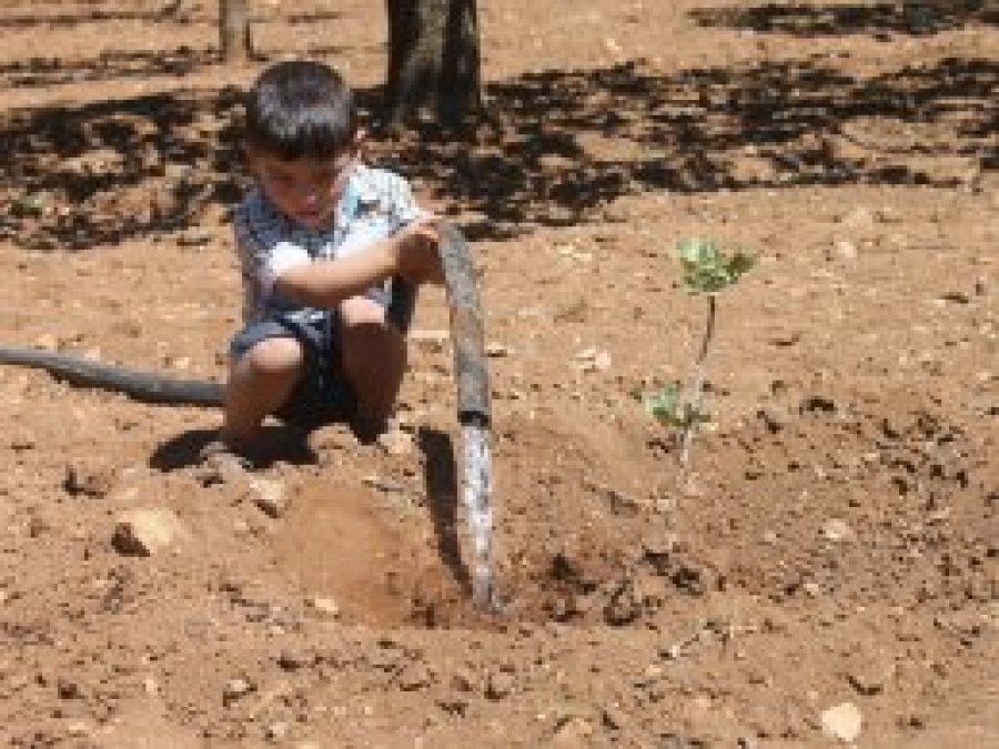 'Barajın dibinde suya hasretiz'