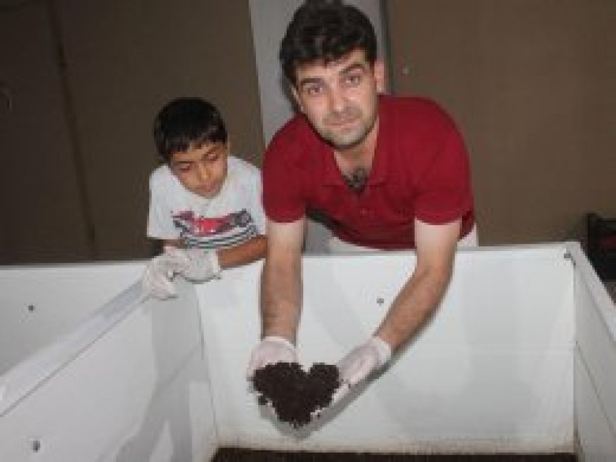 2 milyon solucanla organik gübre üretiyor