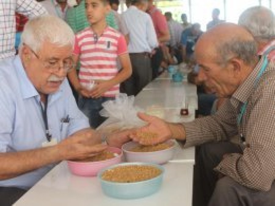 Çiftçilerden TMO'ya buğday fiyatı tepkisi