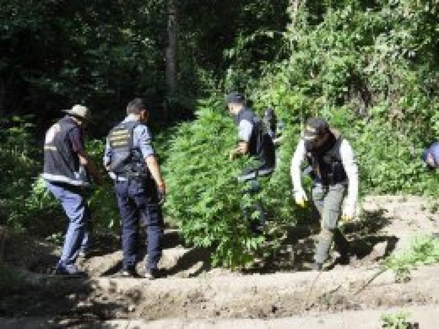 Hevsel Bahçeleri’nde uyuşturucu operasyonu