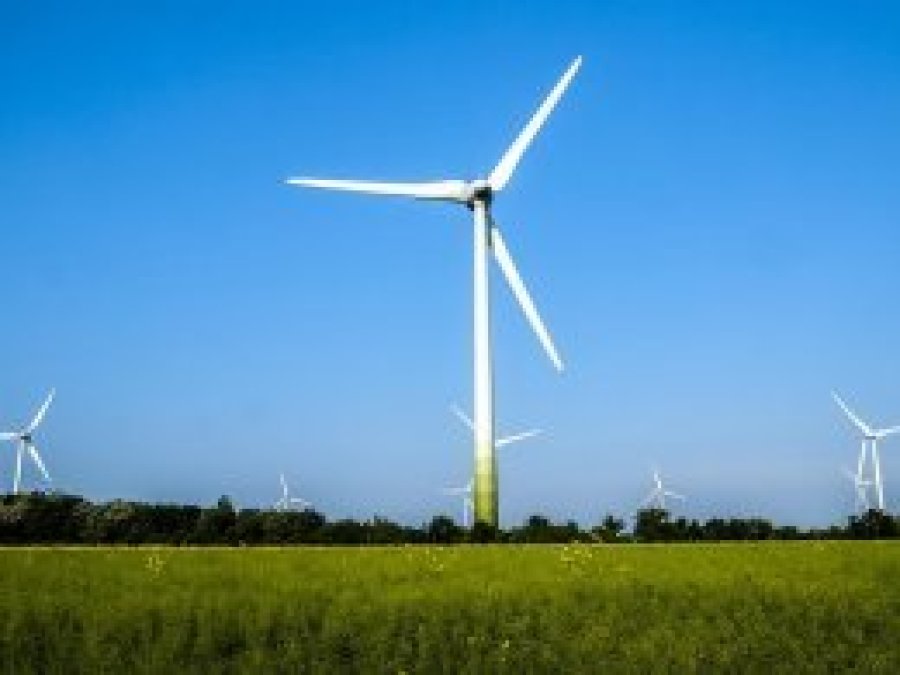 Rüzgâr enerjisi ihalesini Alman şirketi kazandı