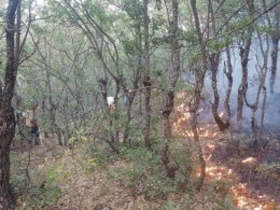 Valilikten 'Dersim Yanıyor' açıklaması