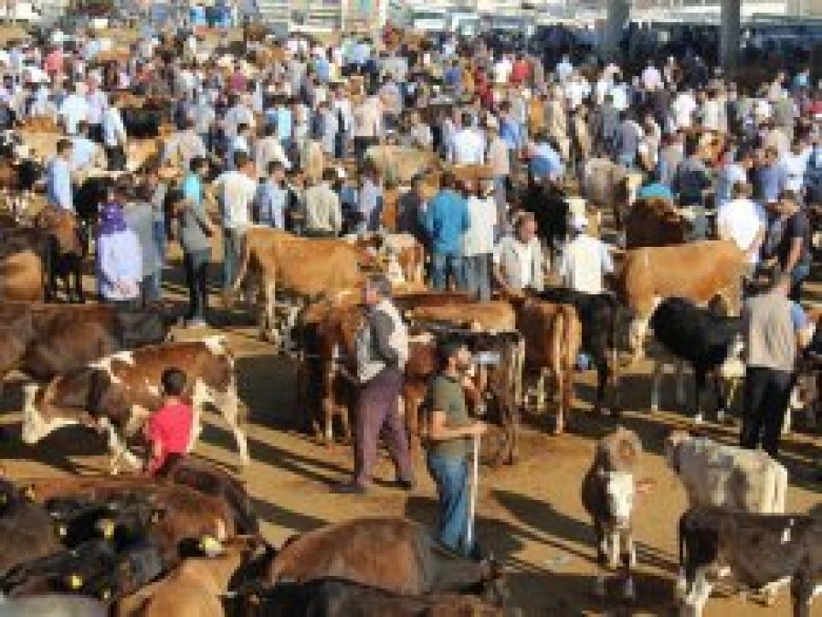 Diyarbakır'da kurbanlık satışlarında hareketlilik