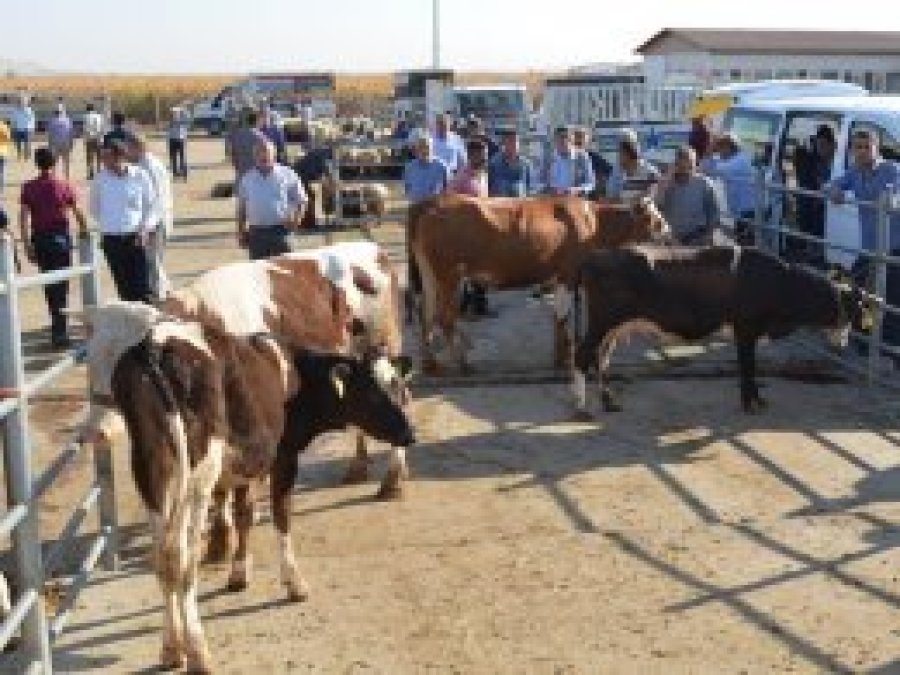 Kurban satıcıları hareketlilikten memnun
