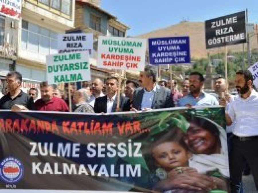 Arakan'daki vahşet Bitlis'te telin edildi
