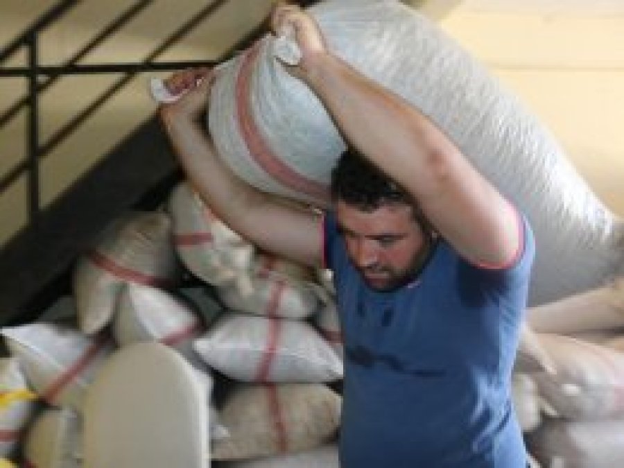 Atanamayan öğretmen adayı hamallık yapıyor