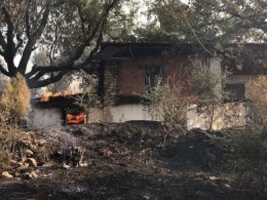 Muğla'daki orman yangınında 30 ev zarar gördü