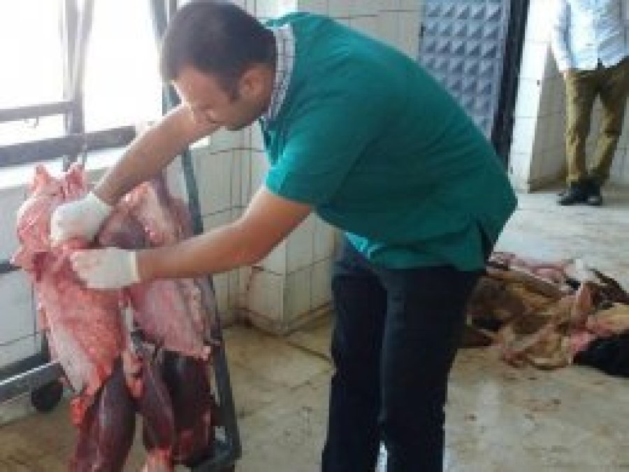 Ordu'da karantiya alınan mahalle 5 yıl aşılanacak