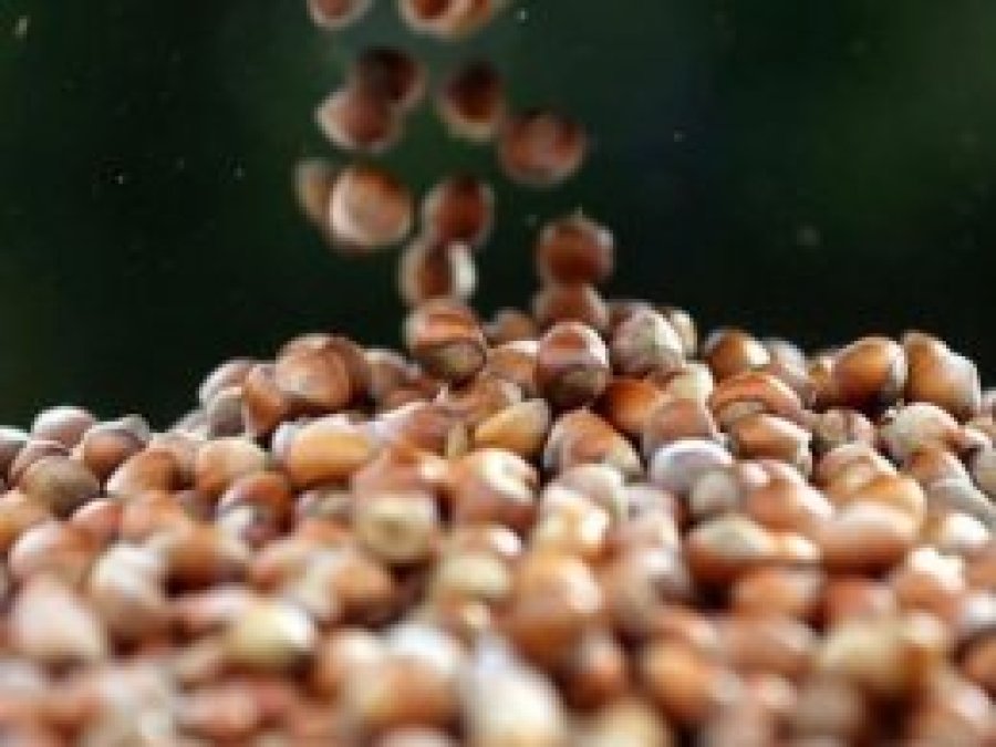 Düzce'den bin 84 ton fındık ihracatı 