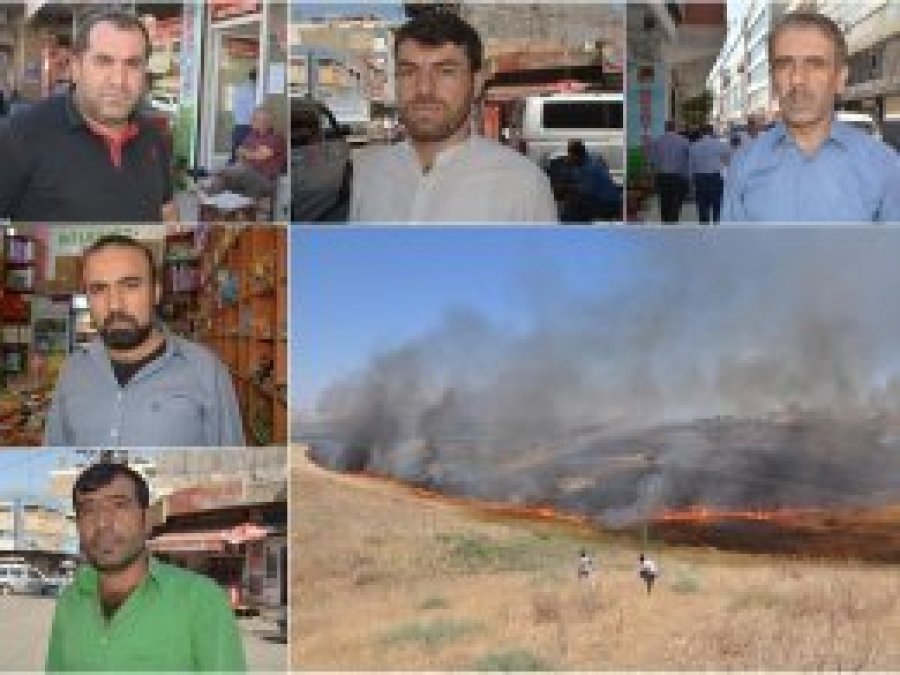 'Anız yakarak geleceğimizi karatmayalım'