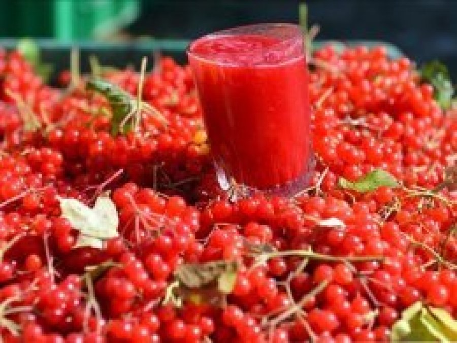 Gilaburu'nun faydaları bilimsel olarak kanıtlandı