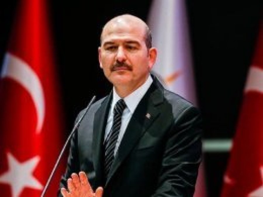 Şiddete maruz kalan 393 kadın hayatını kaybetti