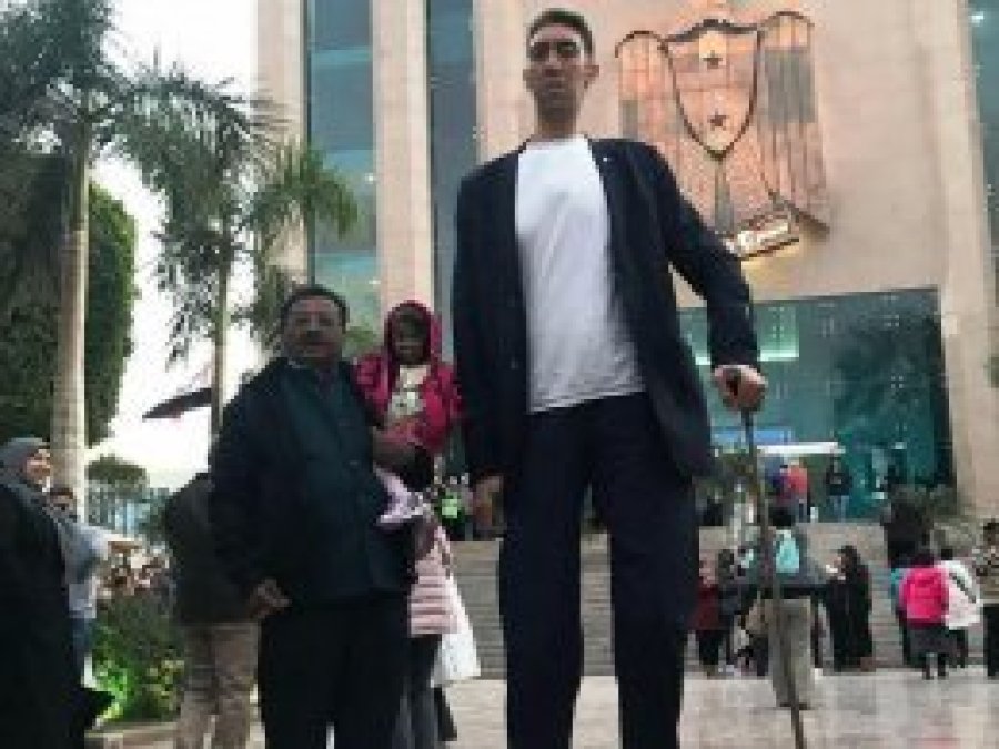 Dünyanın 'en'lerinin buluşması ilginç görüntüler oluşturdu