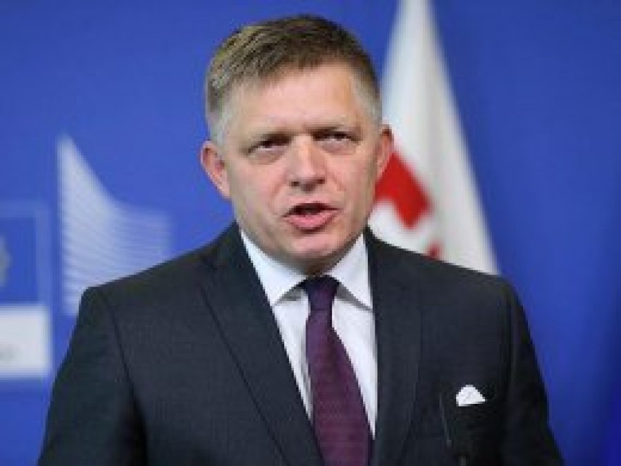 Slovakya Başbakanı Fico istifa etti