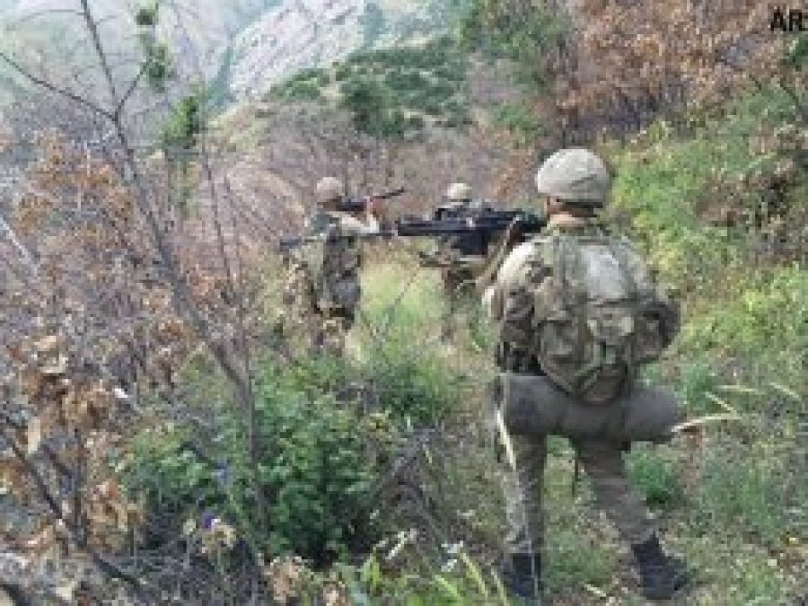 Şırnak'ta 3 PKK'li öldürüldü