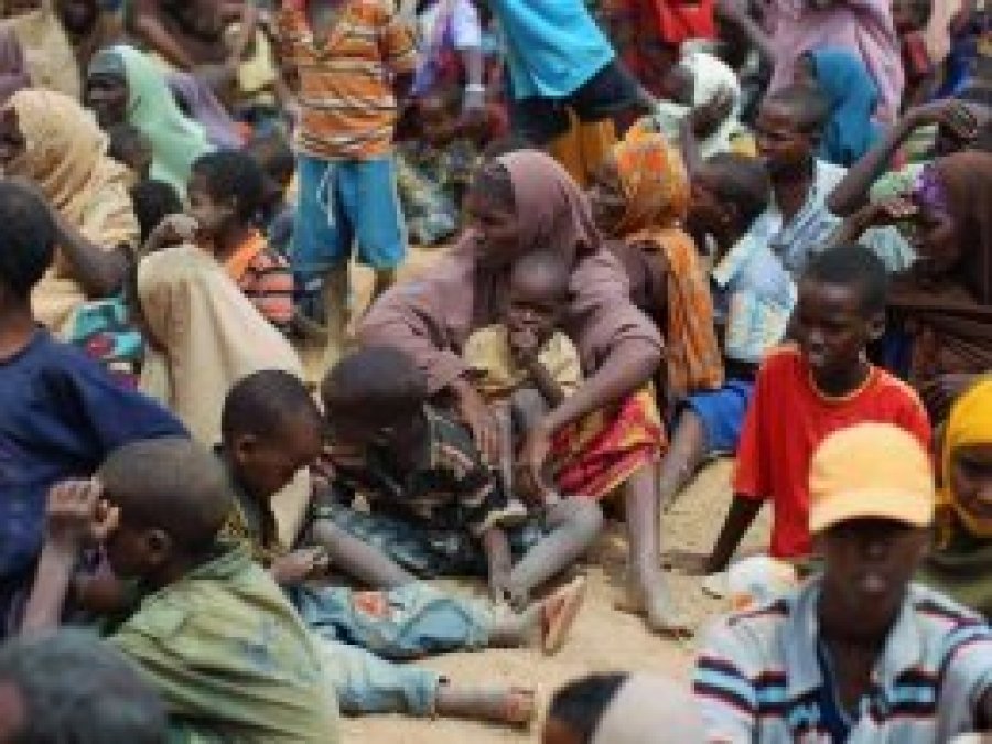 FAO'dan Somali için 236 milyon dolarlık yardım çağrısı