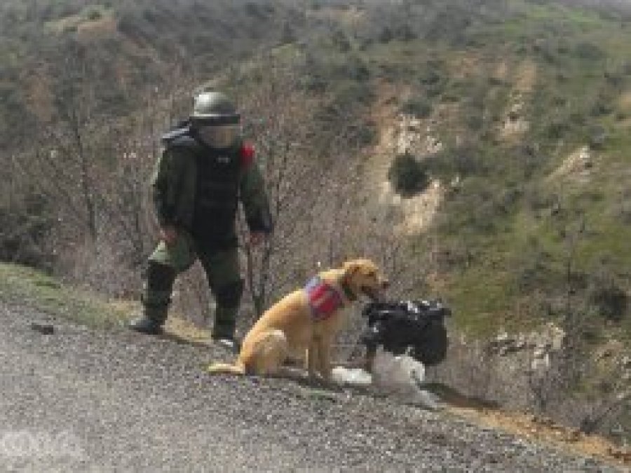 Yol kenarına tuzaklanmış patlayıcı bulundu