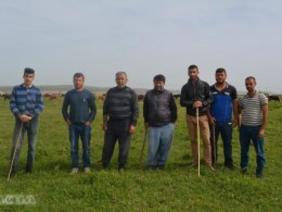 Ani hayvan ölümleri köylüleri endişelendiriyor