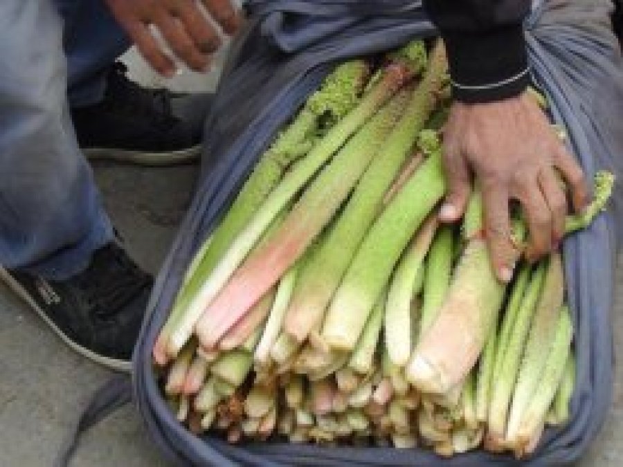 Yayla muzu fiyatıyla cep yakıyor