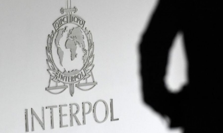 Türkiye’den Almanya’ya bin 252 Interpol kararı