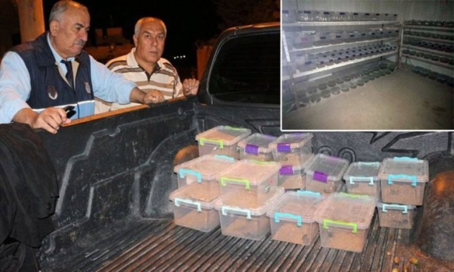Polis baskınında ortaya çıktı! Litresi 10 milyon $