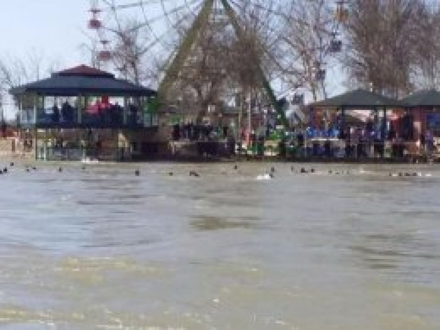 Musul kentindeki Dicle Nehri'nde feribot battı: 100 ölü
