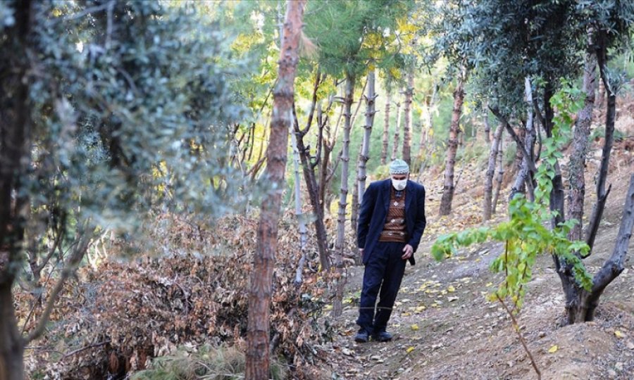 'Şeyhmus Amca' çabasıyla orman oluşturdu