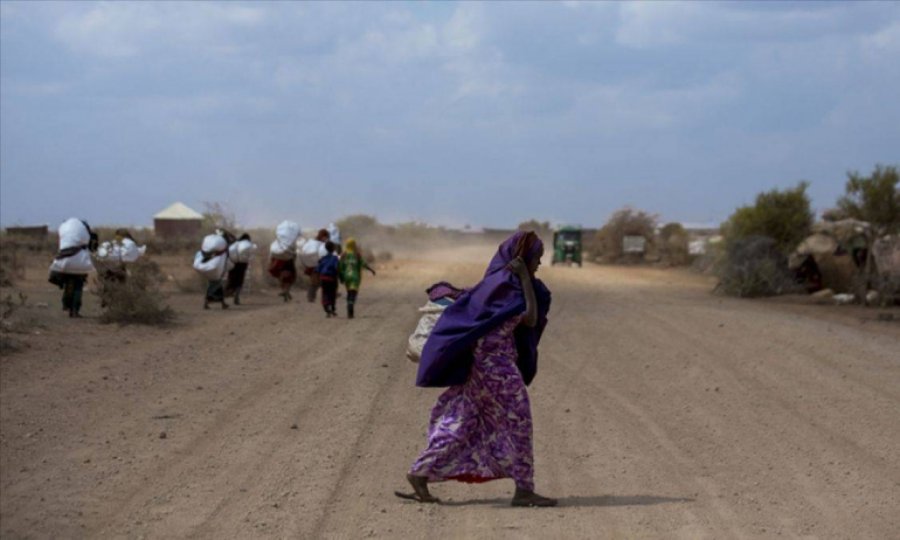 Somali'den ölümcül kuraklığa karşı küresel yardım çağrısı