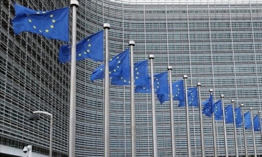 AB, Myanmar'a silah ambargosu uygulansın istiyor
