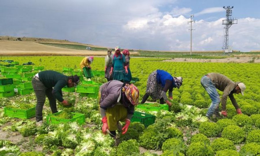 Tarım işi yapmak isteyenler için işte destekler