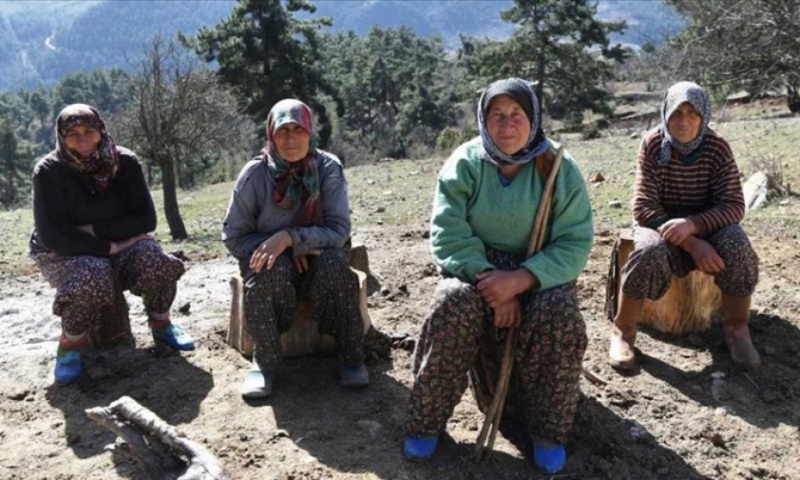 Antalya'da 11 kız kardeşli 70 yaşındaki kadının 62 yıllık çobanlık hikayesi ilgi çekiyor
