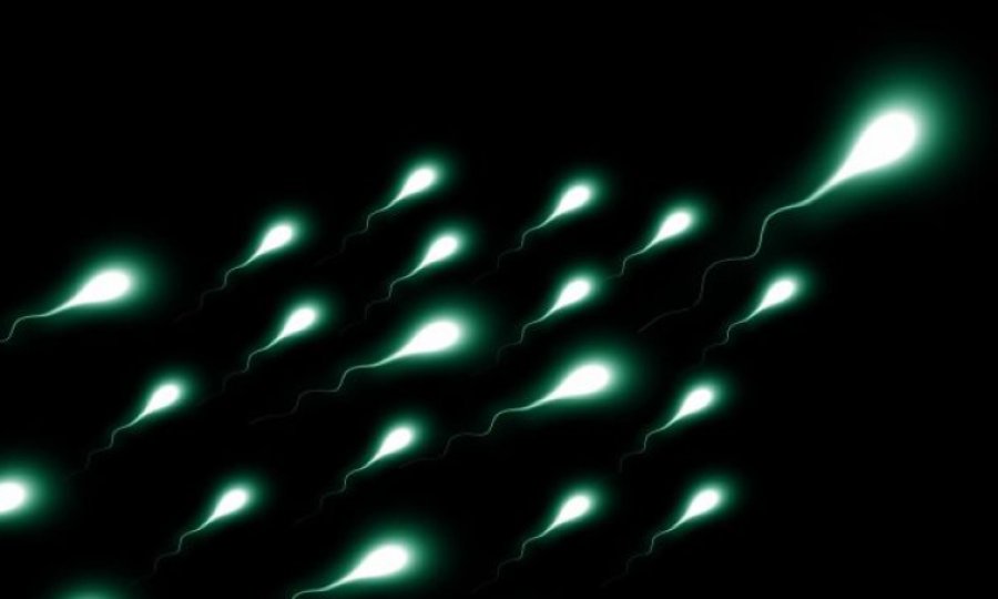 Araştırma: Koronavirüs aşısı sperm sayısını etkilemiyor
