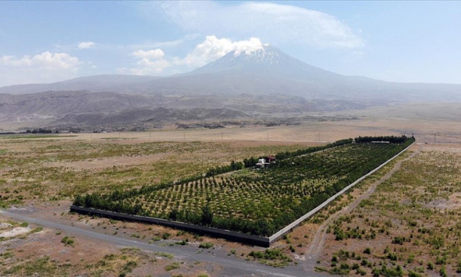 Ağrı Dağı eteklerindeki çorak araziyi vahaya dönüştürdü
