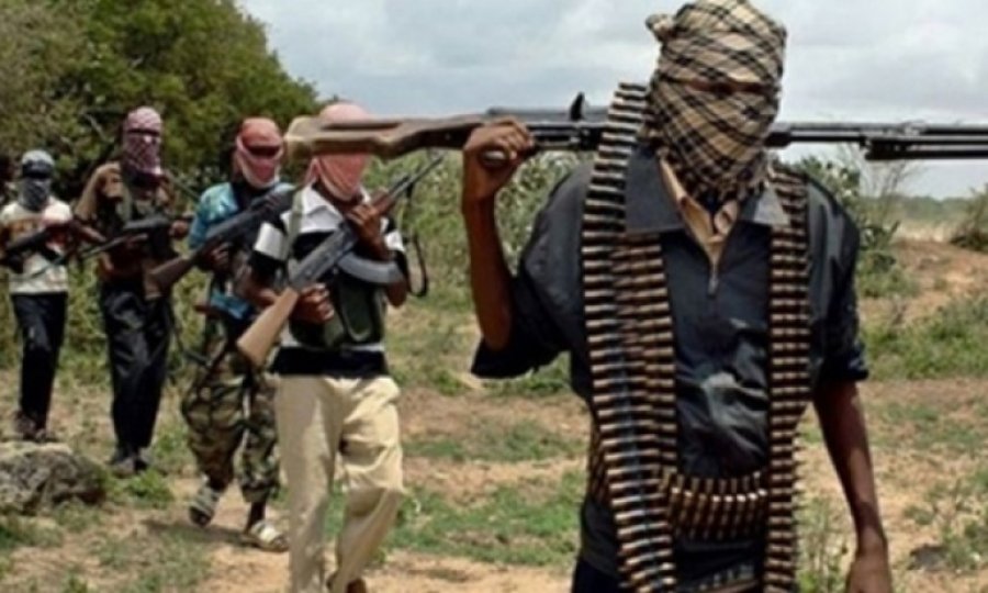 Nijerya'da Boko Haram'a ağır darbe