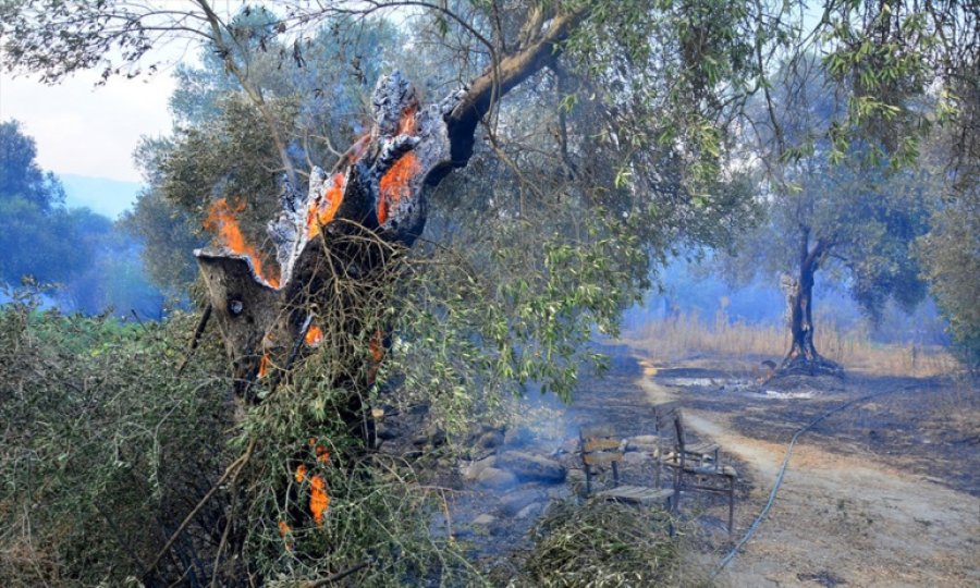Manavgat'ta 2 kişi daha yaşamını yitirdi; 3 ilde 6 yangın devam ediyor