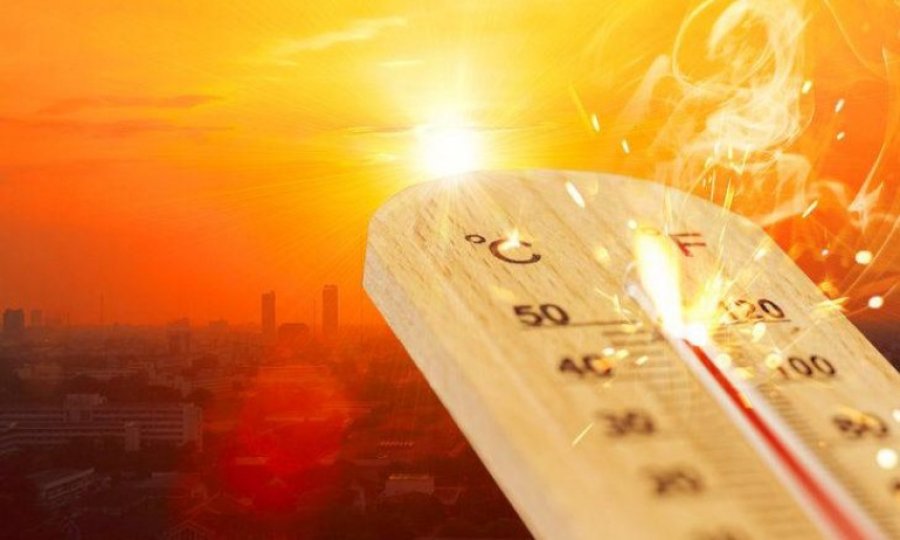 Dünya genelinde son 7 yıl 'en sıcak yıllar' olarak kayıtlara geçti