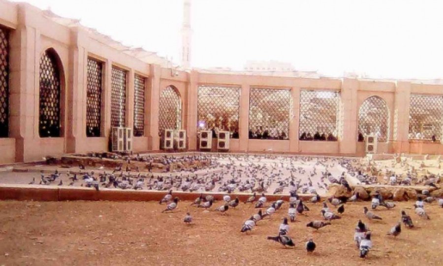 Ummu’l-Benin’in Vefatı