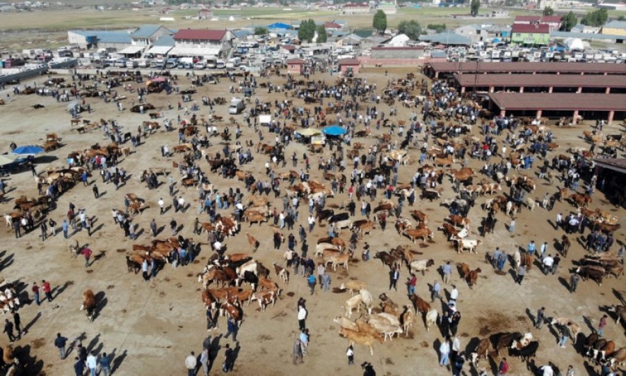 Kurban Bayramı 9 Temmuz Cumartesi günü başlayacak